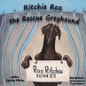 Ritchie Roo the Rescue Greyhound - Bild 1