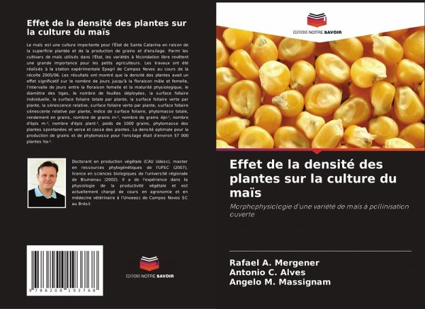 Effet de la densité des plantes sur la culture du maïs