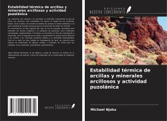 Cover Estabilidad térmica de arcillas y minerales arcillosos y actividad puzolánica