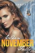When November Falls - Bild 1