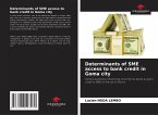 Determinants of SME access to bank credit in Goma city