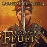 Ein schwarzes Feuer (MP3-Download) - Bild 1