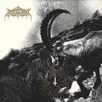 Rejoice In Sin Rejoice In Sin