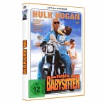 Mr. BABYSITTER