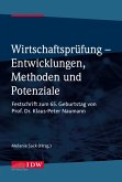 Wirtschaftsprüfung - Entwicklungen, Methoden und Potenziale Wirtschaftsprüfung - Entwicklungen, Methoden und Potenziale