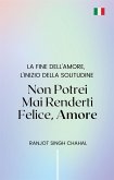 Non Potrei Mai Renderti Felice, Amore (eBook, ePUB)