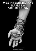 Mes premiers pas dans la soumission (eBook, ePUB)