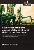 Studio dei problemi causati dalla perdita di fluidi di perforazione