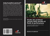 Studio dei problemi causati dalla perdita di fluidi di perforazione Studio dei problemi causati dalla perdita di fluidi di perforazione