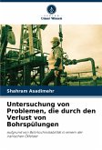 Untersuchung von Problemen, die durch den Verlust von Bohrspülungen