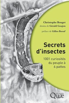 Cover Secrets d'insectes
