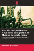 Estudo dos problemas causados pela perda de fluidos de perfuração