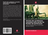 Estudo dos problemas causados pela perda de fluidos de perfuração Estudo dos problemas causados pela perda de fluidos de perfuração