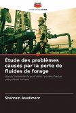 Étude des problèmes causés par la perte de fluides de forage