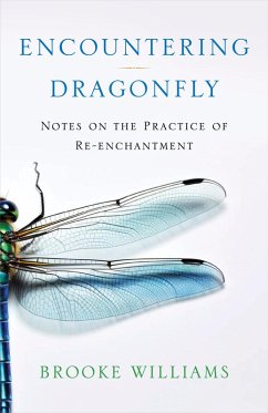 Encountering Dragonfly - Williams, Brooke