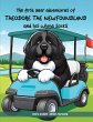 The First Year Adventures Of Theodore... - Bild 1