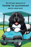 The First Year Adventures Of Theodore The Newfoundland And His White Socks