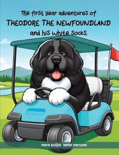 Cover The First Year Adventures Of Theodore The Newfoundland And His White Socks