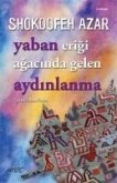 Yaban Erigi Agacinda Gelen Aydinlanma