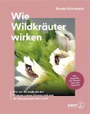 Wie Wildkräuter wirken Wie Wildkräuter wirken