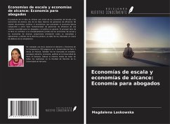 Cover Economías de escala y economías de alcance: Economía para abogados