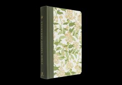 Cover ESV Everyday Gospel Bible, Artist Series