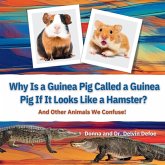 Why Is a Guinea Pig Called a Guinea Pig If It Looks Like a Hamster? Why Is a Guinea Pig Called a Guinea Pig If It Looks Like a Hamster?