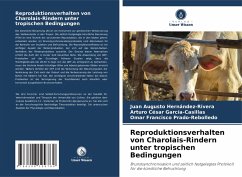 Reproduktionsverhalten von Charolais-Rindern unter tropischen Bedingungen - Hernández-Rivera, Juan Augusto;García-Casillas, Arturo César;Prado-Rebolledo, Omar Francisco