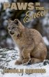 Paws in the Snow - Bild 1
