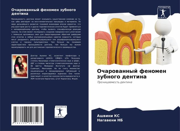 Ocharowannyj fenomen zubnogo dentina