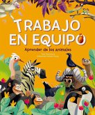 Trabajo En Equipo Trabajo En Equipo