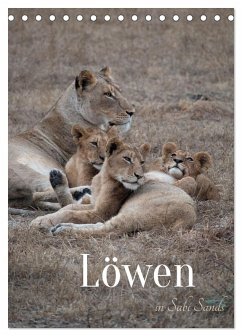 Löwen in Sabi Sands (Tischkalender 2025 DIN A5 hoch), CALVENDO Monatskalender