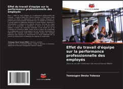 Effet du travail d'équipe sur la performance professionnelle des employés - Tolessa, Temesgen Desta