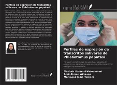 Cover Perfiles de expresión de transcritos salivares de Phlebotomus papatasi