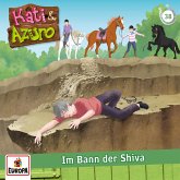 Folge 38: Im Bann der Shiva (MP3-Download) Folge 38: Im Bann der Shiva (MP3-Download)