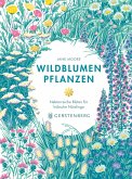 Wildblumen pflanzen Wildblumen pflanzen