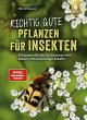 Richtig gute Pflanzen für Insekten - Bild 1