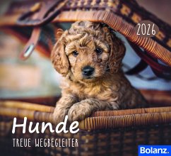 Cover Hunde 2026