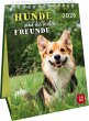 Wochenkalender 2026: Hunde sind die... - Bild 1