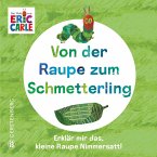 Von der Raupe zum Schmetterling Von der Raupe zum Schmetterling