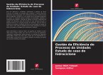 Gestão da Eficiência do Processo da Unidade: Estudo de caso do hidrociclone