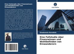 Cover Eine Fallstudie über Finanzwissen und Wohlbefinden von Einwanderern