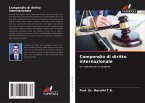 Compendio di diritto internazionale