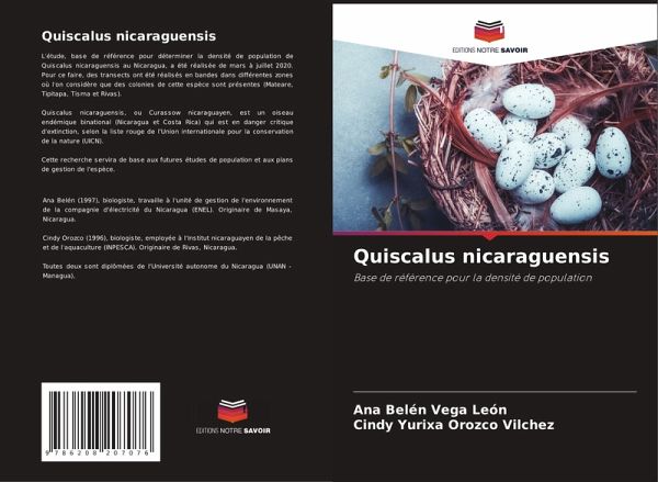 Quiscalus nicaraguensis Quiscalus nicaraguensis