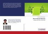 Plant Based Biofuel Plant Based Biofuel