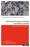 Zwischen Pluralisierung und Regulierung (eBook, PDF)