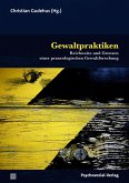 Gewaltpraktiken (eBook, PDF)