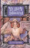 Chudesa Divnozyorya (eBook, ePUB)