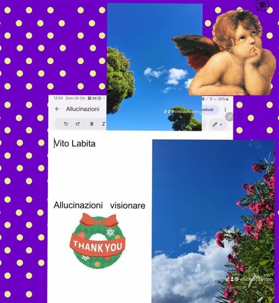 Allucinazioni visionare (eBook, ePUB) Allucinazioni visionare (eBook, ePUB)