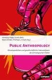 Public Anthropology (eBook, PDF)